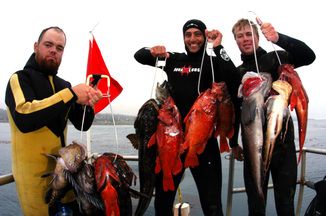 Spear Fishing - SloDivers